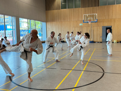 Asai Karate Seminar 2023 in _9